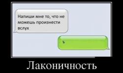 Лаконичность