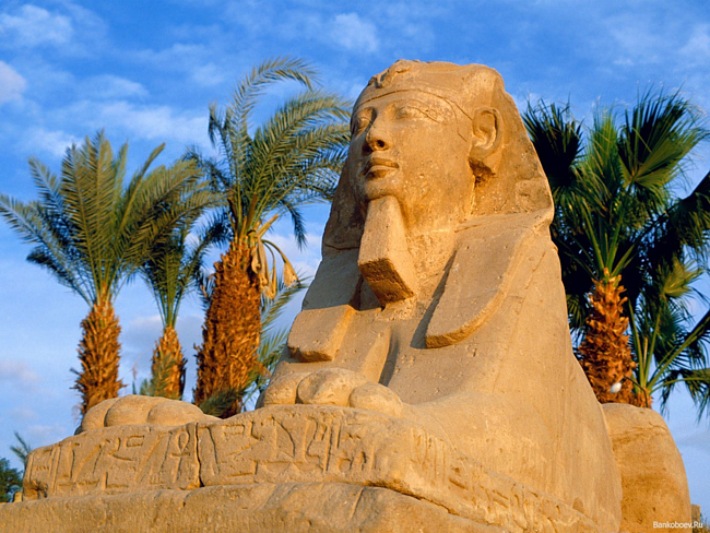 Египет многогранен